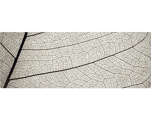 Stänkskydd till badrum MYSPOTTI Aqua grå 1200 x 450 mm Närbild av ett bladskelett