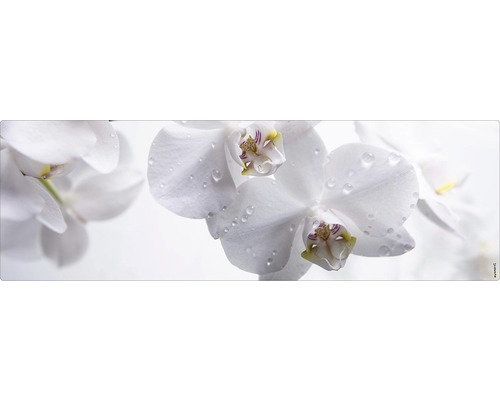 Stänkskydd till badrum MYSPOTTI Aqua vit 1400 x 450 mm Floral Närbild av vita orkidéblommor med vattendroppar