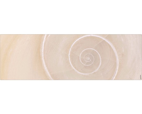 Stänkskydd till badrum MYSPOTTI Aqua beige 1400 x 450 mm Djur Närbild av en ljus spiralformad snäckskalsstruktur