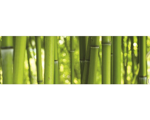 Stänkskydd till badrum MYSPOTTI Aqua grön 1400 x 450 mm Bambu