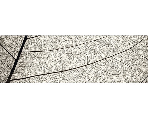Stänkskydd till badrum MYSPOTTI Aqua grå 1400 x 450 mm Närbild av strukturen på ett bladskelett