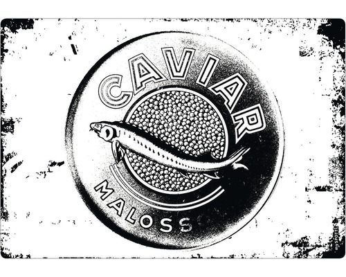 Stänkpanel för kök MYSPOTTI Pop Caviar svart 590x410 mm Caviar Maloss burk med fiskillustration