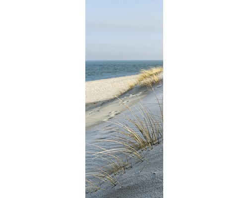 Dyn gräs på stranden