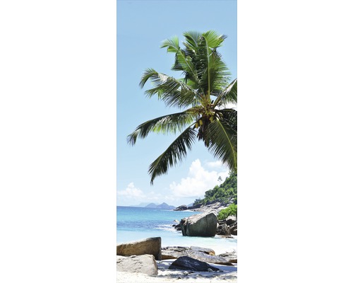 Palm på stranden med klippor och blått hav