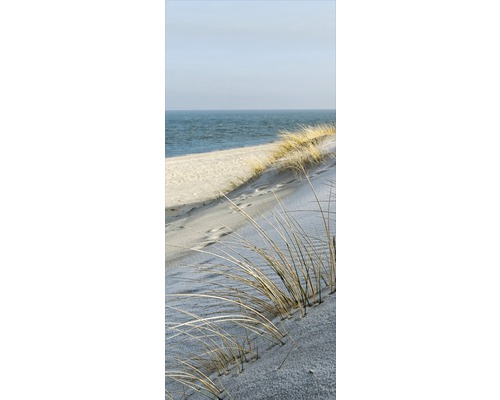 Sanddyn med strandråg framför havet