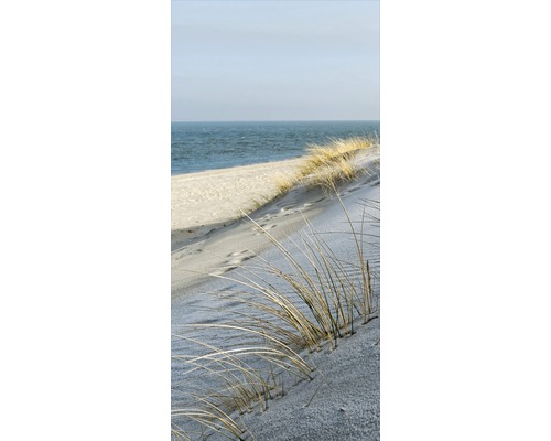 Strandråg på en sanddyn vid havet