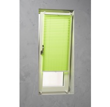 Fönster med monterad, grön plisségardin