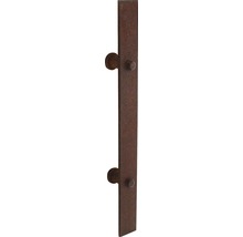 Dörrhandtag av järn