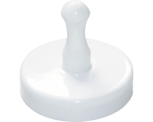 Vit magnetisk stift för whiteboard