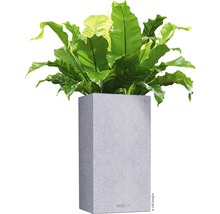 Självvattnande blomkruka LECHUZA Canto Color hög plast 30x30x56cm grå