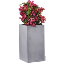 Självvattnande blomkruka LECHUZA Canto Color hög plast 30x30x56cm grå