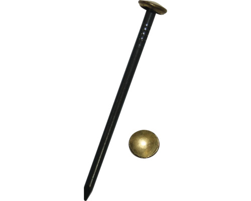 Spik DRESSELHAUS mässinghuvud 2x40mm blånerad 18 st Dekorativa spikar med mässingshuvud