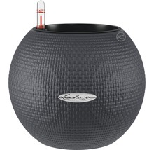 Lechuza blomkruka med bevattningssystem och vattennivåindikator