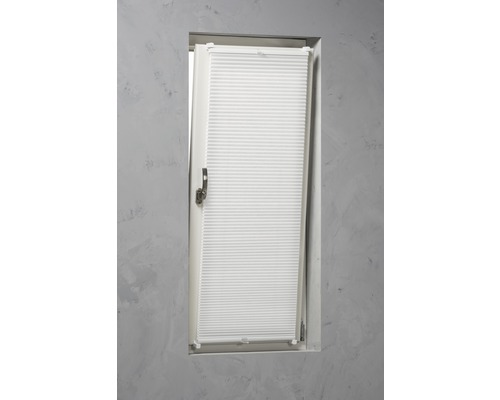 Fönster med plisségardin för ljusreglering