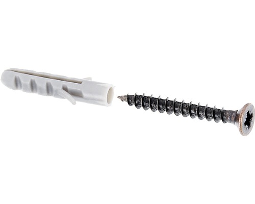 Fästskruv KAISERTHAL 3x25mm med plugg brunerad 10-pack Plugg av plast och skruv