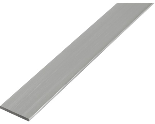 Plattstav KAISERTHAL aluminium silver 20x5mm 2m