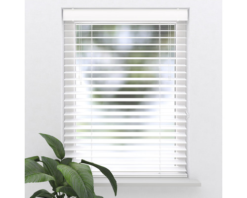 Fönster med horisontella persienner för ljusreglering