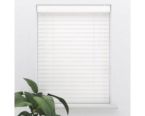 Vit persienn i fönstret