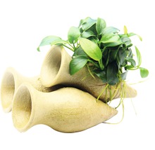 Akvariedekoration med grottor och vattenväxt