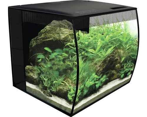 Akvarium med stenar och växter