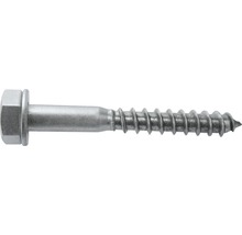 Träskruv med sexkantshuvud och bricka