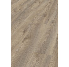 Laminatgolv KRONOTEX Mammut Makro beige ek