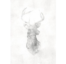 Illustration av ett hjorthuvud med horn