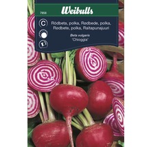 Rödbetsfrö WEIBULLS Rödbeta Chioggia Polkabet