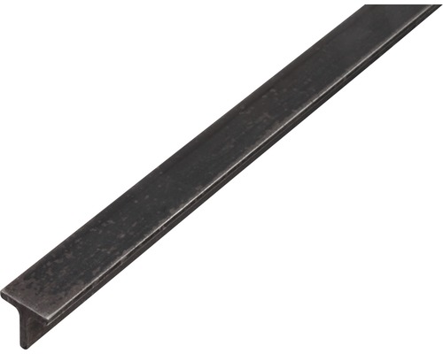 T-profil KAISERTHAL stål 25x25x3,5 mm 2 m