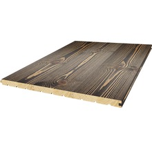 Träpanel med not och fjäder