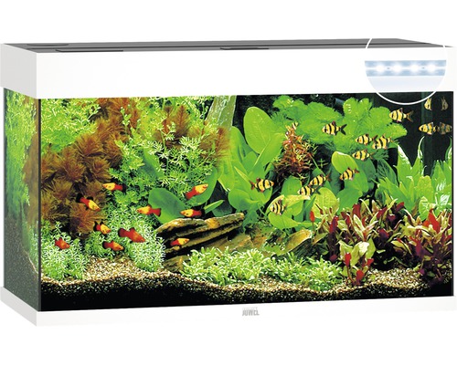 Akvarium JUWEL Rio 125 LED vit Akvarium JUWEL Rio 125 LED vit