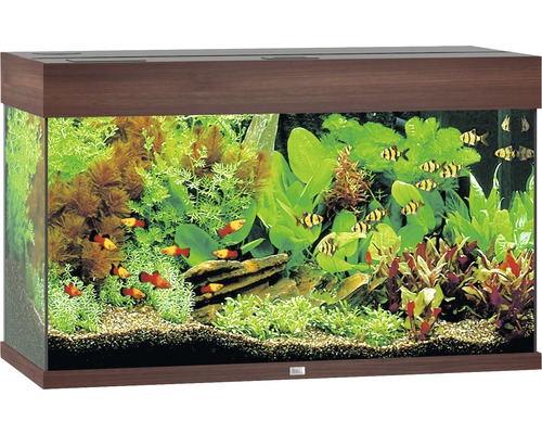 Akvarium JUWEL Rio 125 LED mörkt trä Akvarium JUWEL Rio 125 LED mörkt trä