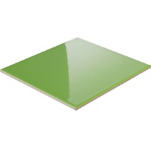 Fyrkantig grön kakelplatta