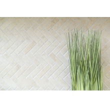 Ljust väggkakel i fiskbensmönster med dekorativt prydnadsgräs