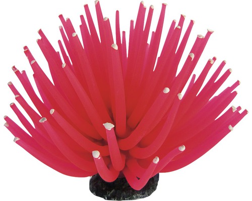 Akvariedekoration ORBIT Smiling Coral rosa 6cm Akvariedekoration ORBIT Smiling Coral rosa 6cm