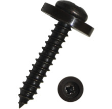 Skruv med Torx-fäste och bricka