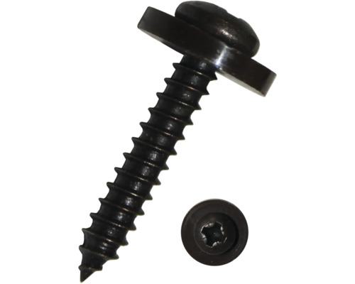 Skruv med Torx-fäste och bricka