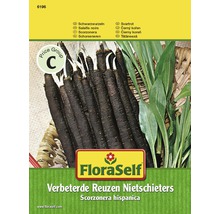 FloraSelf fröpåse förbättrad jättesvartrot
