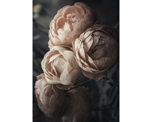 Poster Retro Flowers 50x70cm