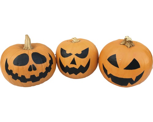Tre Halloween pumpor med utskurna ansikten