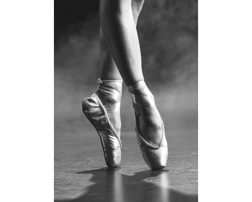 Poster Pointe Shoes 50x70cm-0