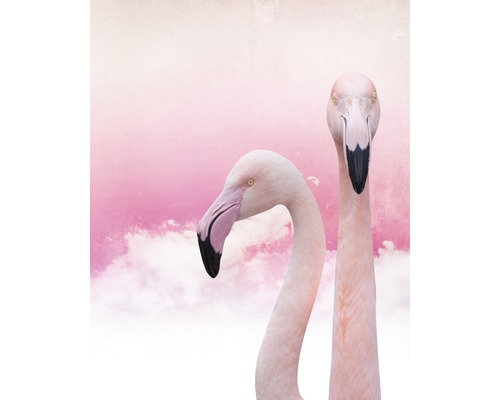 Poster Flamingos 40x50cm