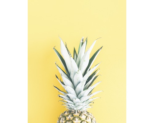 Poster Pineapple 40x50cm