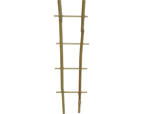 Bambusträdgårdspaljé