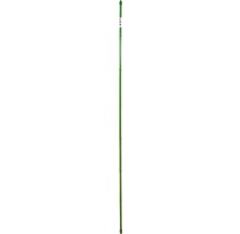 Abstrakt grön grafik