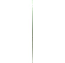 Grönt plaströr