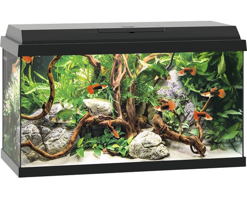 Akvarium JUWEL Primo 60 inkl. lock med LED-belysning, värmare, filter svart