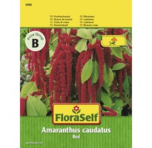 Blomfrö FLORASELF Kattsvans Amaranthus röd-thumb-0