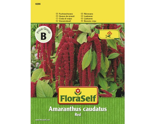 Blomfrö FLORASELF Kattsvans Amaranthus röd-0