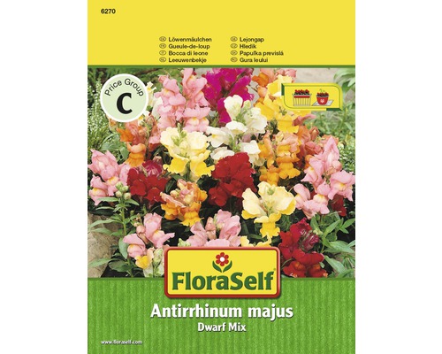 Blomfrö FLORASELF Dvärgmix Antirrhinum